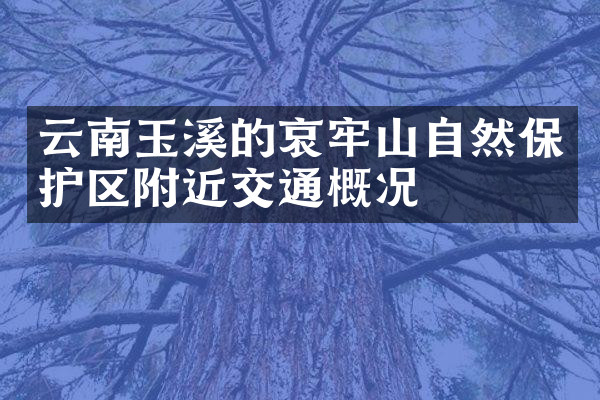 云南玉溪的哀牢山自然保护区附近交通概况