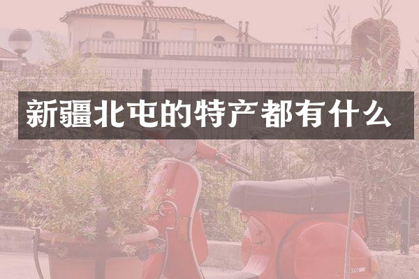新疆北屯的特产都有什么