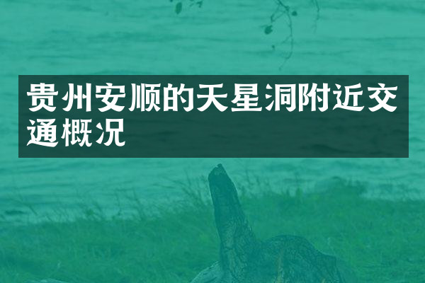 贵州安顺的天星洞附近交通概况