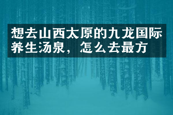 想去山西太原的九龙国际养生汤泉，怎么去最方便