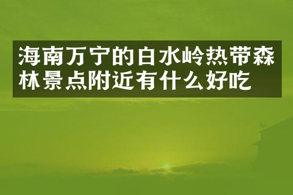 海南万宁的白水岭热带森林景点附近有什么好吃的