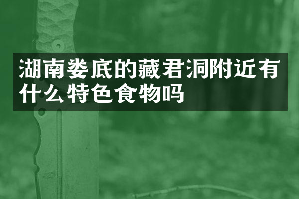 湖南娄底的藏君洞附近有什么特色食物吗