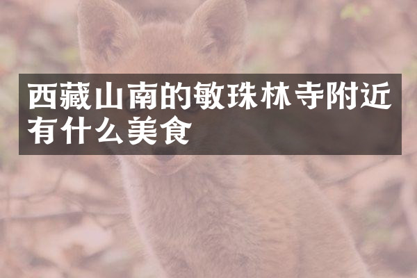 西藏山南的敏珠林寺附近有什么美食