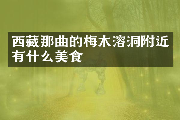 西藏那曲的梅木溶洞附近有什么美食