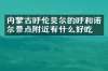 内蒙古呼伦贝尔的呼和诺尔景点附近有什么好吃的