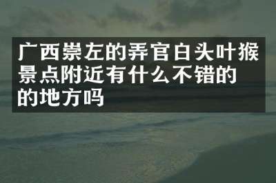 广西崇左的弄官白头叶猴景点附近有什么不错的住的地方吗