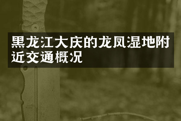 黑龙江大庆的龙凤湿地附近交通概况