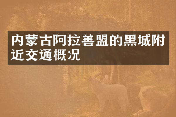 内蒙古阿拉善盟的黑城附近交通概况