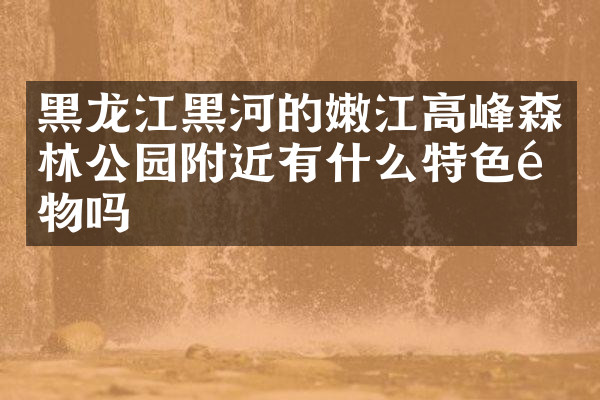 黑龙江黑河的嫩江高峰森林公园附近有什么特色食物吗