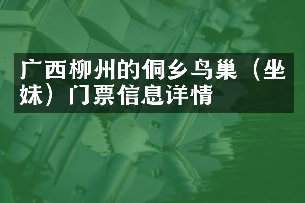 广西柳州的侗乡鸟巢（坐妹）门票信息详情