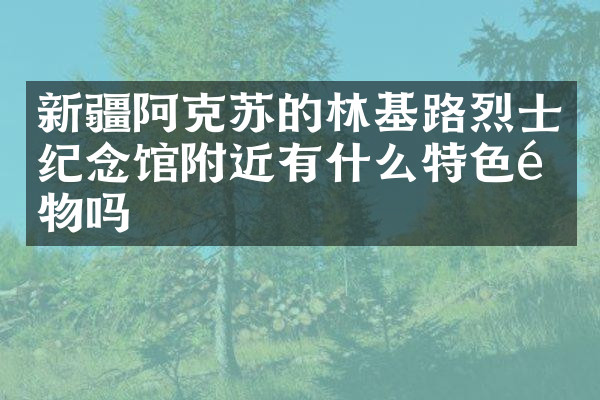 新疆阿克苏的林基路烈士纪念馆附近有什么特色食物吗