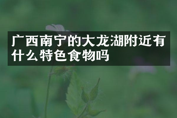 广西南宁的大龙湖附近有什么特色食物吗