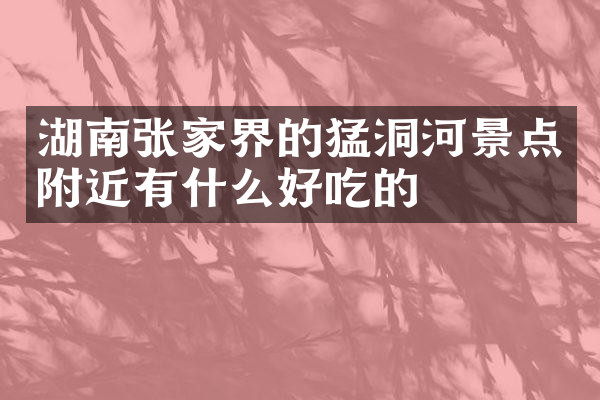 湖南张家界的猛洞河景点附近有什么好吃的