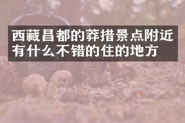 西藏昌都的莽措景点附近有什么不错的住的地方吗