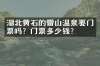 湖北黄石的雷山温泉要门票吗？门票多少钱？