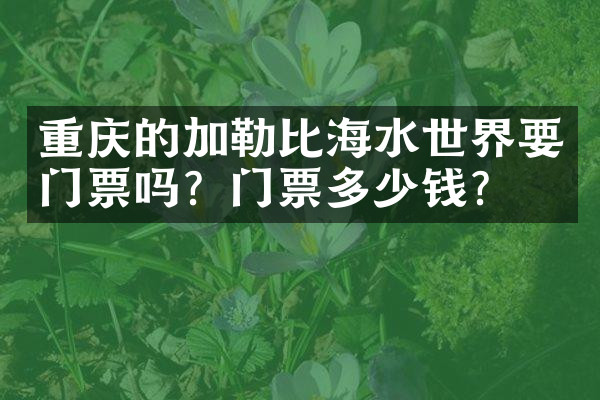 重庆的加勒比海水世界要门票吗？门票多少钱？