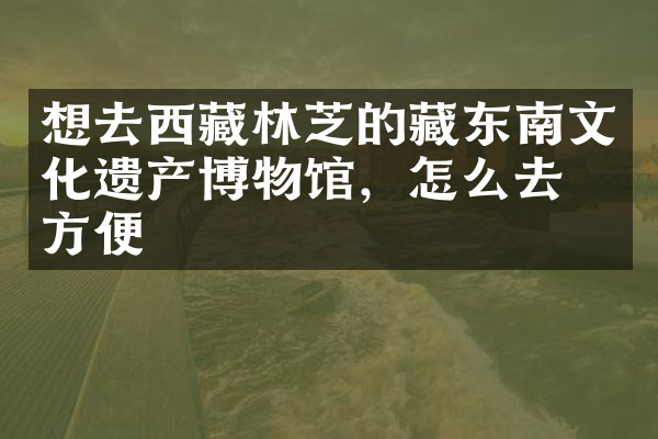 想去西藏林芝的藏东南文化遗产博物馆，怎么去最方便