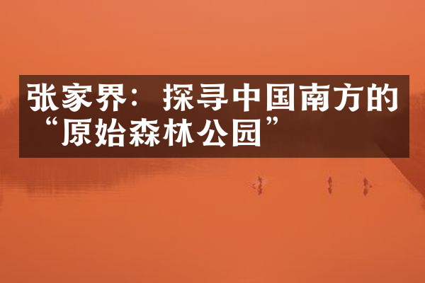 张家界：探寻中国南方的“原始森林公园”