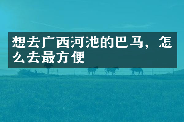 想去广西河池的巴马，怎么去最方便