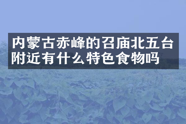 内蒙古赤峰的召庙北五台附近有什么特色食物吗