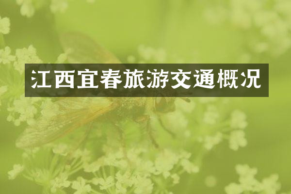 江西宜春旅游交通概况
