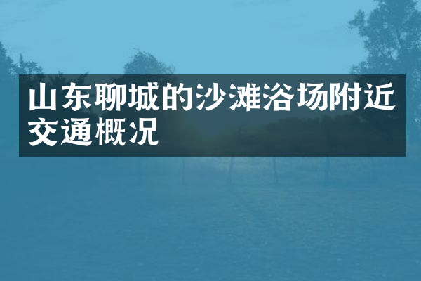 山东聊城的沙滩浴场附近交通概况