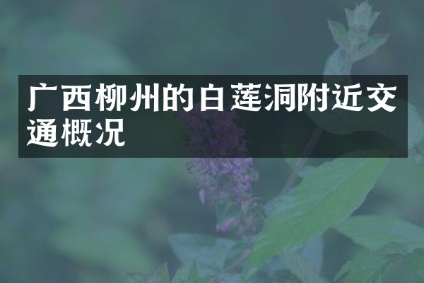 广西柳州的白莲洞附近交通概况