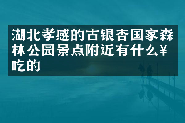 湖北孝感的古银杏国家森林公园景点附近有什么好吃的