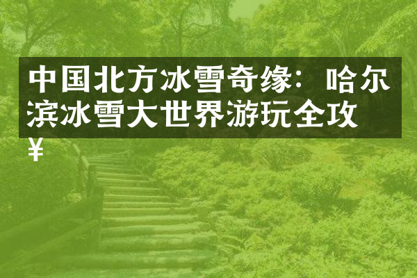 中国北方冰雪奇缘：哈尔滨冰雪大世界游玩全攻略