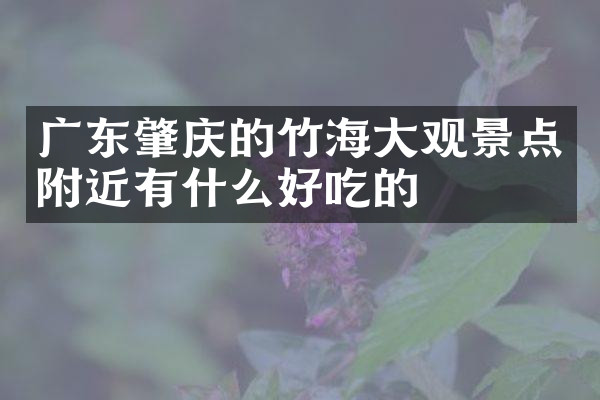 广东肇庆的竹海大观景点附近有什么好吃的