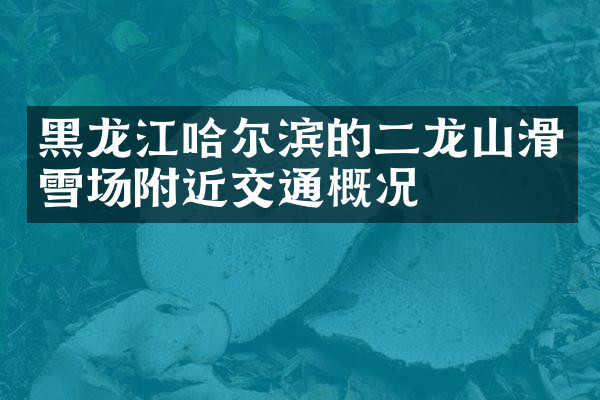 黑龙江哈尔滨的二龙山滑雪场附近交通概况
