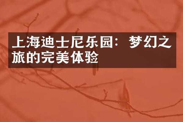 上海迪士尼乐园：梦幻之旅的完美体验