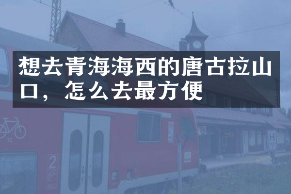 想去青海海西的唐古拉山口，怎么去最方便