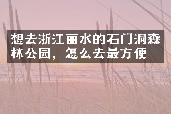 想去浙江丽水的石门洞森林公园，怎么去最方便