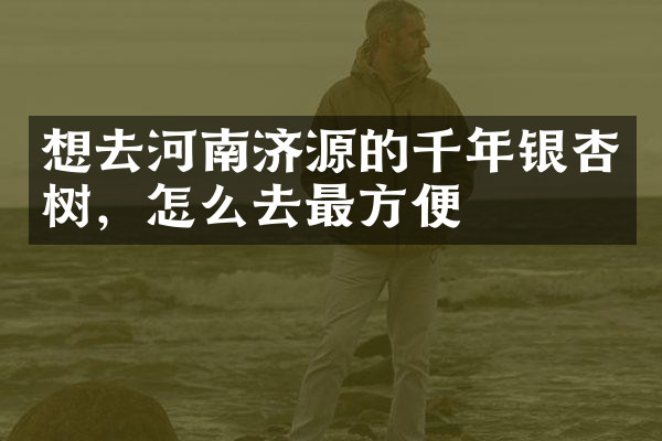 想去河南济源的千年银杏树，怎么去最方便