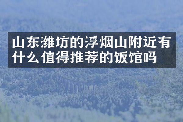 山东潍坊的浮烟山附近有什么值得推荐的饭馆吗