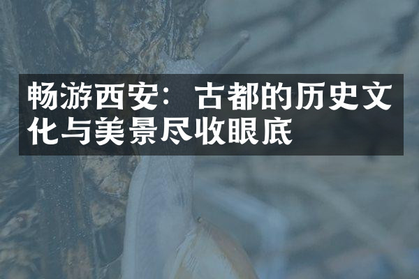 畅游西安：古都的历史文化与美景尽收眼底