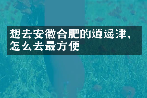 想去安徽合肥的逍遥津，怎么去最方便