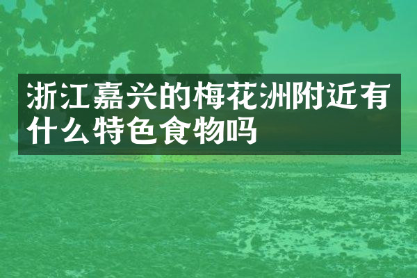 浙江嘉兴的梅花洲附近有什么特色食物吗