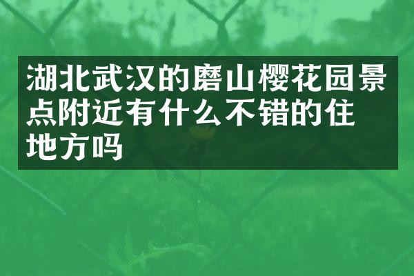 湖北武汉的磨山樱花园景点附近有什么不错的住的地方吗