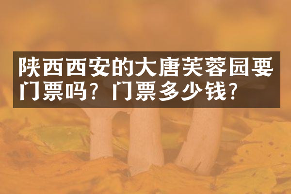 陕西西安的大唐芙蓉园要门票吗？门票多少钱？