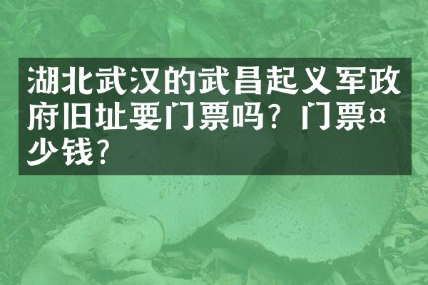 湖北武汉的武昌起义军政府旧址要门票吗？门票多少钱？