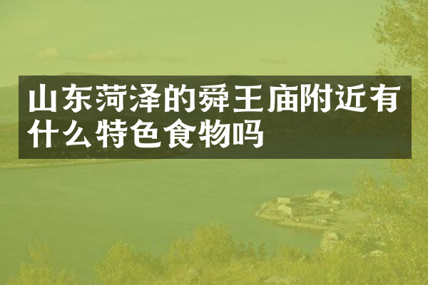 山东菏泽的舜王庙附近有什么特色食物吗