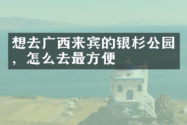 想去广西来宾的银杉公园，怎么去最方便