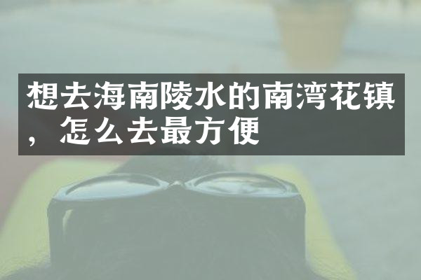 想去海南陵水的南湾花镇，怎么去最方便