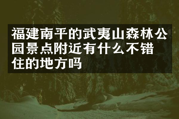 福建南平的武夷山森林公园景点附近有什么不错的住的地方吗