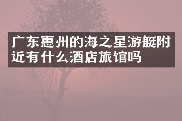 广东惠州的海之星游艇附近有什么酒店旅馆吗