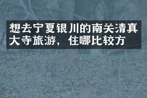 想去宁夏银川的南关清真大寺旅游，住哪比较方便