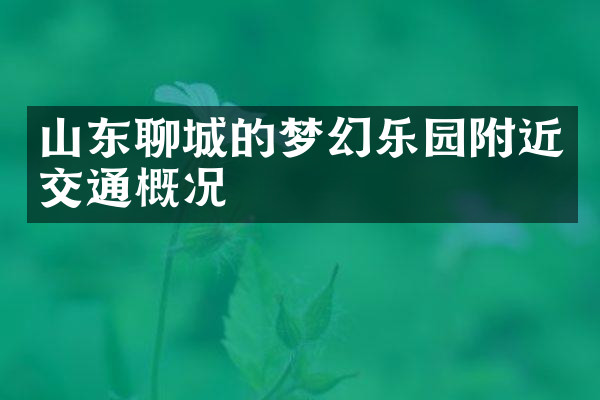 山东聊城的梦幻乐园附近交通概况
