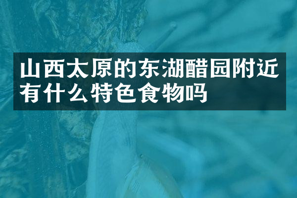 山西太原的东湖醋园附近有什么特色食物吗